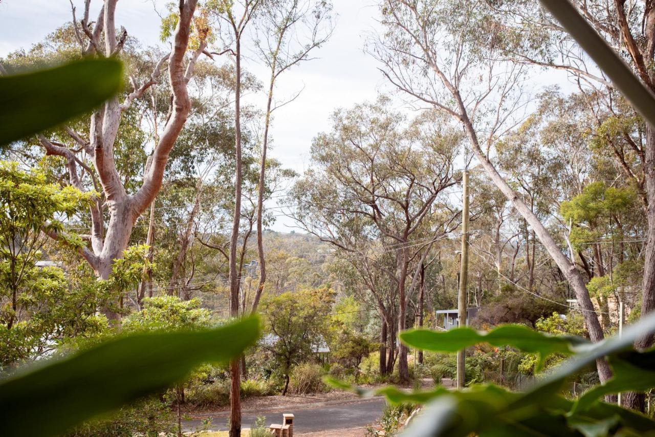 Bed and Breakfast Snooty Fox Bed &Breakfast Hazelbrook Exteriér fotografie