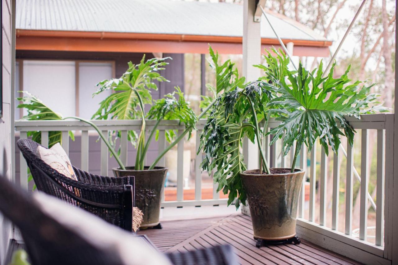 Bed and Breakfast Snooty Fox Bed &Breakfast Hazelbrook Exteriér fotografie