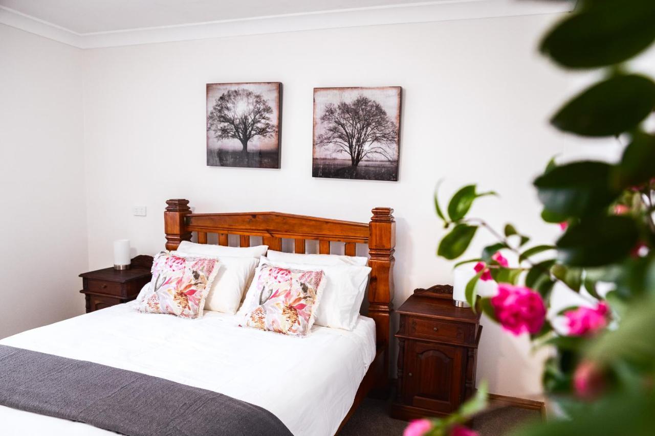 Bed and Breakfast Snooty Fox Bed &Breakfast Hazelbrook Exteriér fotografie